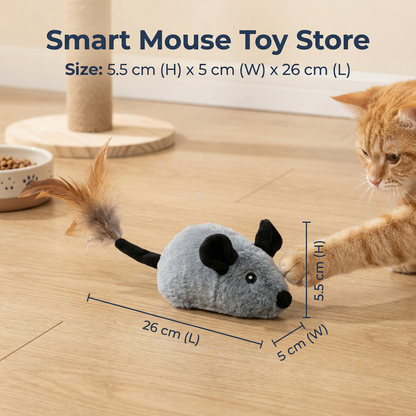 Smart Mouse Toy