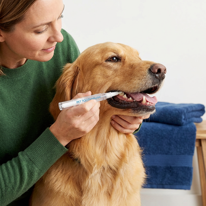 Dental Care Pen for Pets