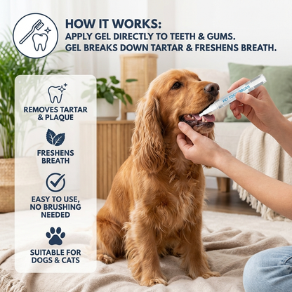 Dental Care Pen for Pets