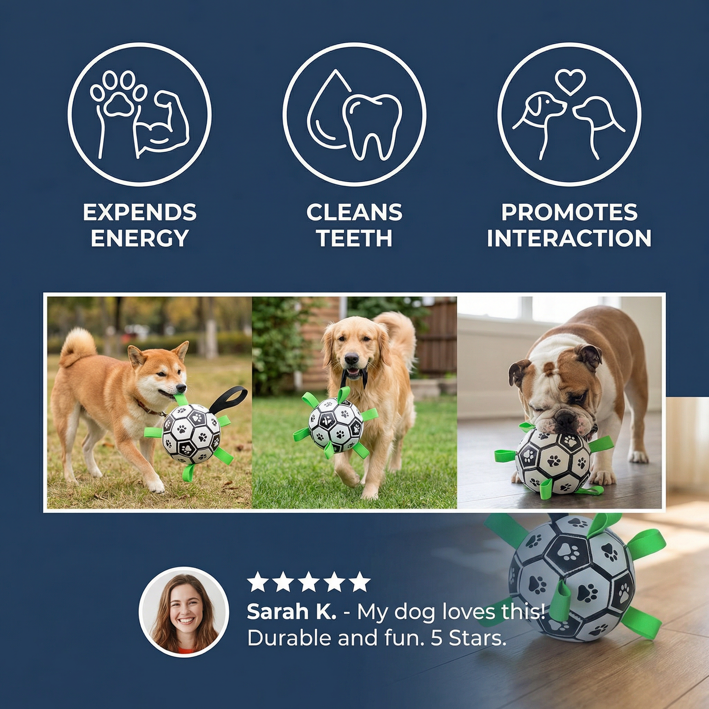 Durable Dog Play Ball with Pull Handles