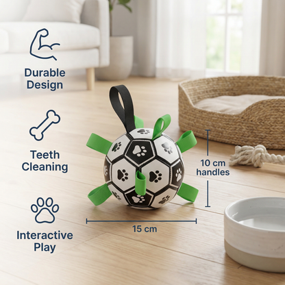 Durable Dog Play Ball with Pull Handles