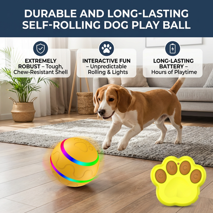 Durable and Long-Lasting Self-Rolling Dog Play Ball