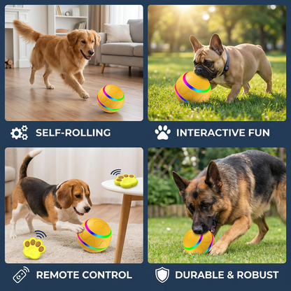Durable and Long-Lasting Self-Rolling Dog Play Ball