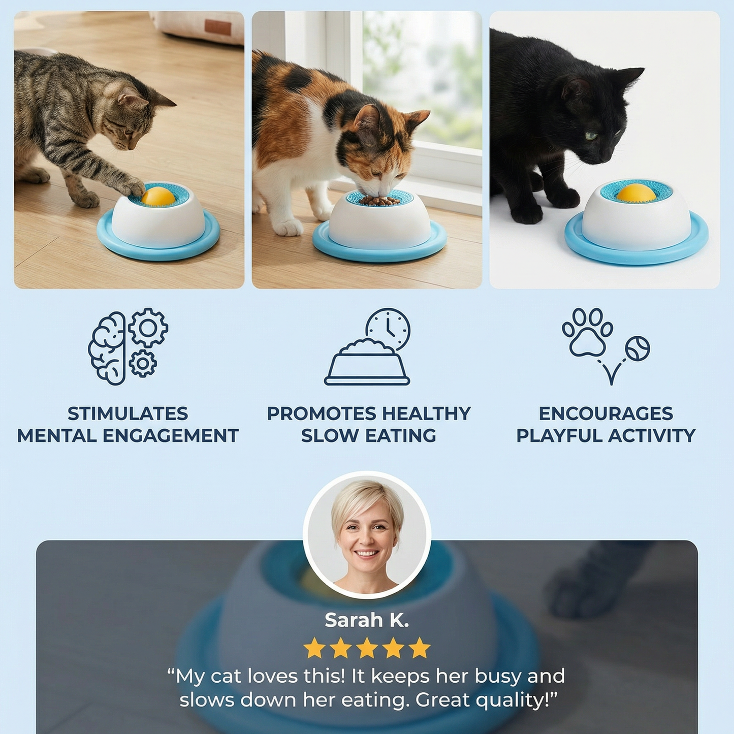 Interactive Treat Toy Plate – Slow Feeder for Cats