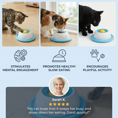 Interactive Treat Toy Plate – Slow Feeder for Cats