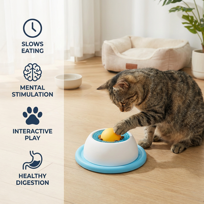 Interactive Treat Toy Plate – Slow Feeder for Cats