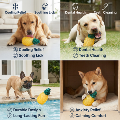 Cooling Dog Chew Toy in Fruit Design
