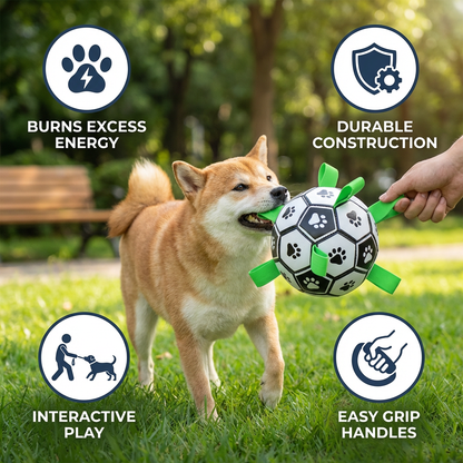 Durable Dog Play Ball with Pull Handles