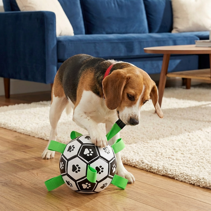Durable Dog Play Ball with Pull Handles