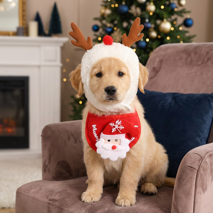 Christmas Dog Outfits