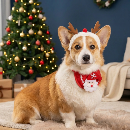 Christmas Dog Outfits