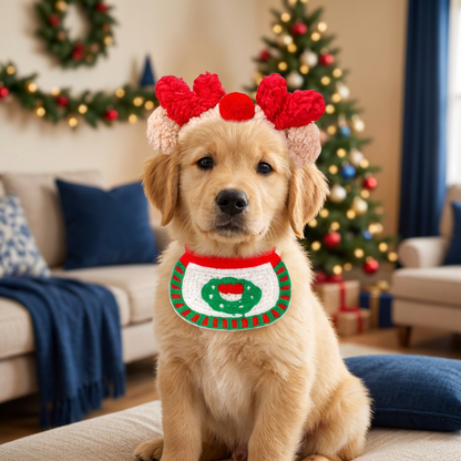 Christmas Dog Outfits