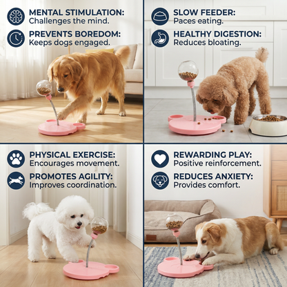 Wobbly Dog Treat Toy