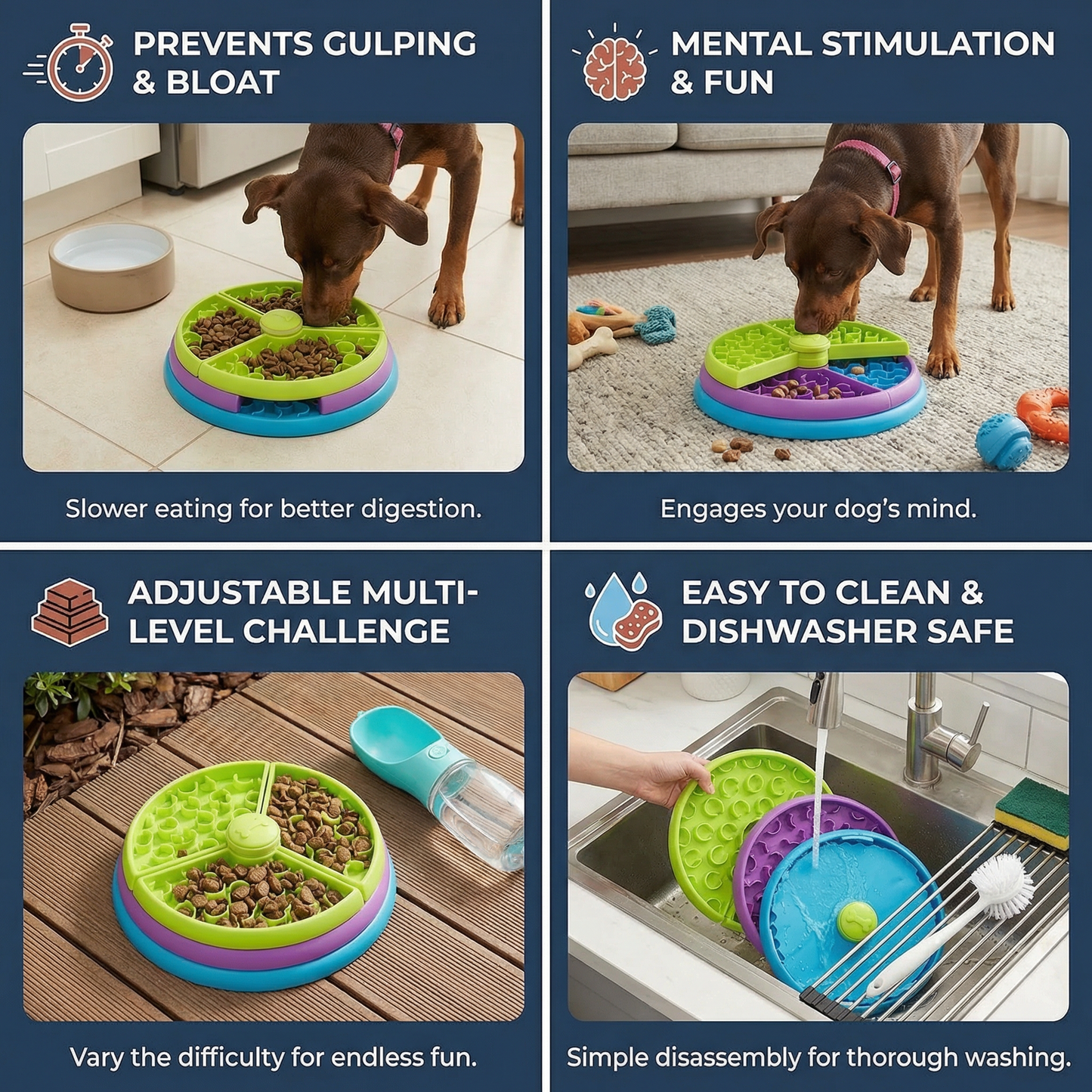 Interactive Feeding Bowl with Multiple Levels