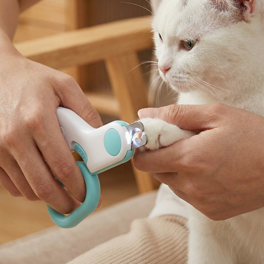 Professional Pet Nail Clipper with Integrated Light