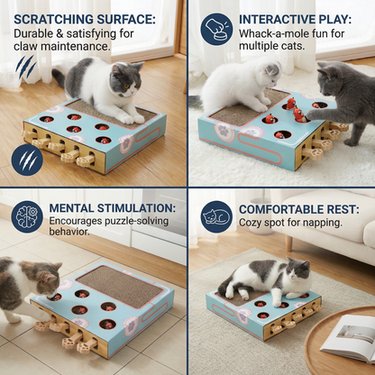 3-in-1 Play Box for Cats