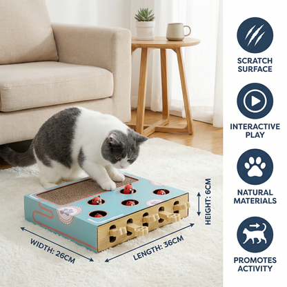 3-in-1 Play Box for Cats
