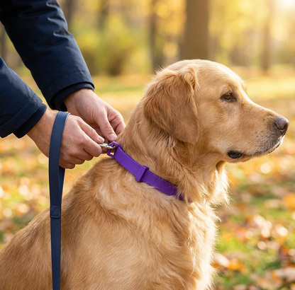 NaturaGuard – Tick and Flea Protection Collar