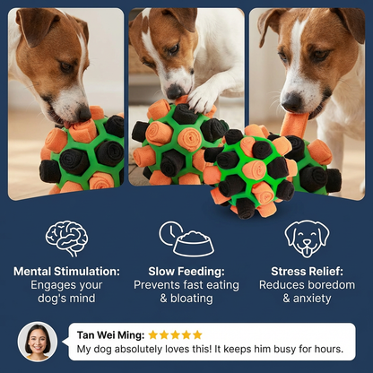 Snuffle Ball – Interactive Treat Toy