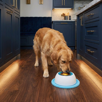 Interactive Treat Toy Plate – Slow Feeder for Dogs