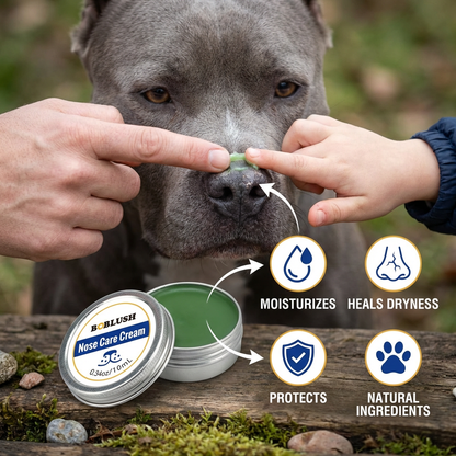 Care and Protective Cream for Dog Noses