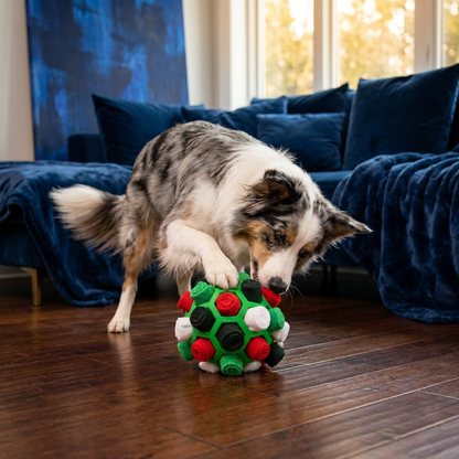 Snuffle Ball – Interactive Treat Toy