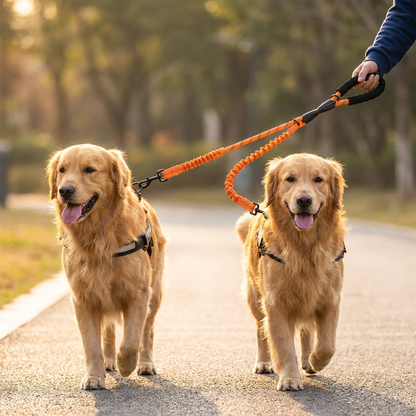 2-in-1 Dog Double Leash with 360° Swivel Joint – Tangle-Free & Shock Absorbing