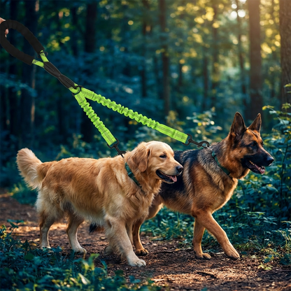2-in-1 Dog Double Leash with 360° Swivel Joint – Tangle-Free & Shock Absorbing