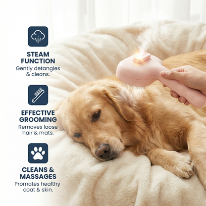 Premium Pet Brush With Steam Function