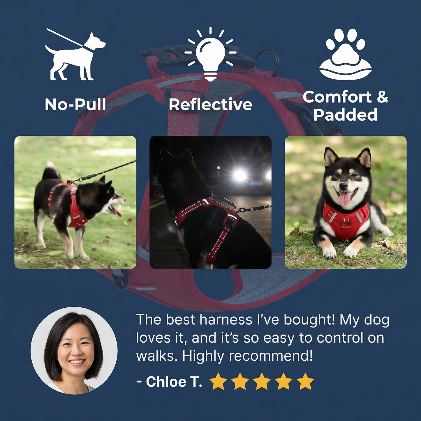High-Quality Reflective No-Pull Comfort Dog Harness
