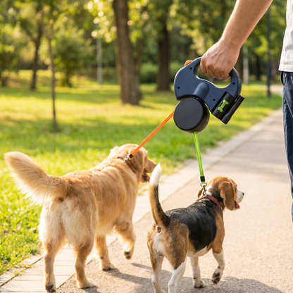 Practical Anti-Tangle Double Dog Leash