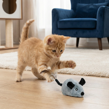 Smart Mouse Toy