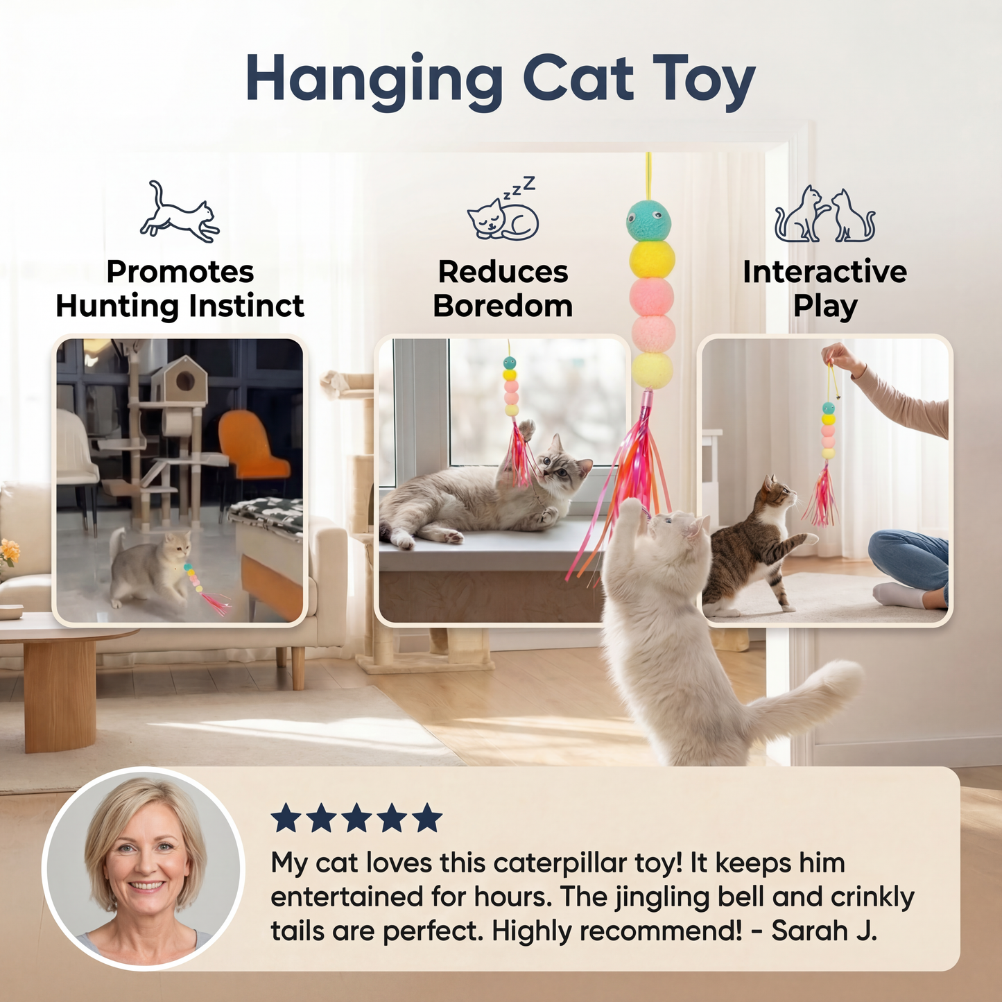 Hanging Cat Toy