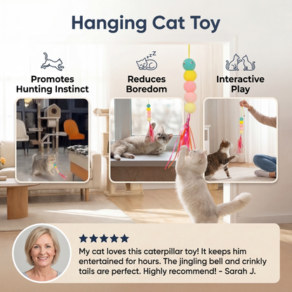 Hanging Cat Toy