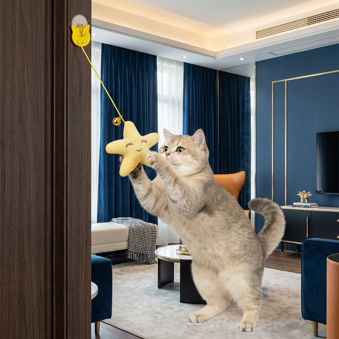 Hanging Cat Toy