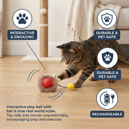 Interactive Play Ball with Fur for Cats