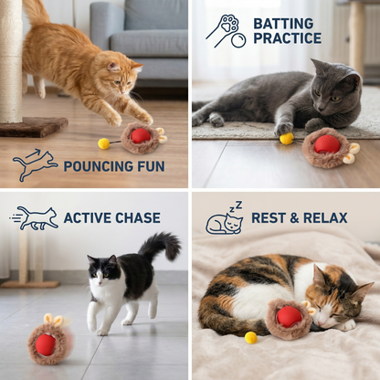 Interactive Play Ball with Fur for Cats