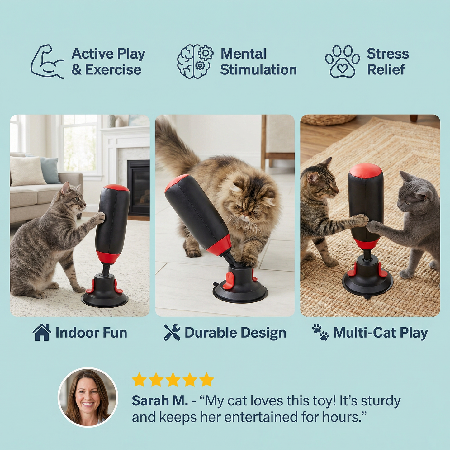 Interactive Punching Bag Cat Toy