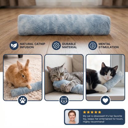 Catnip Cushion Toy