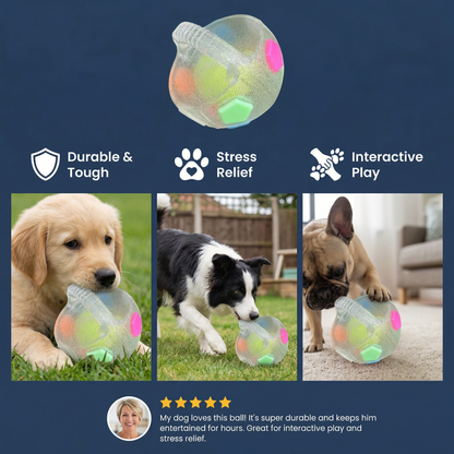 Durable Stress Relief Toy Ball for Dogs