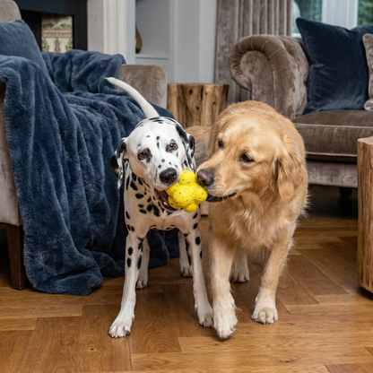 Durable Bouncing Ball for Dogs for Stress Relief