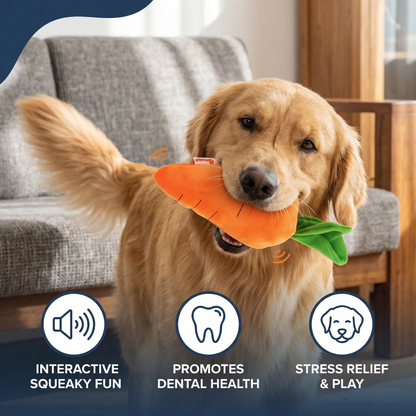 Squeaky Carrot Dog Toy for Stress Relief and Play