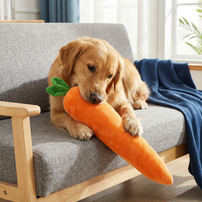 Squeaky Carrot Dog Toy for Stress Relief and Play