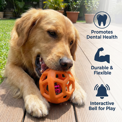 Dog Bell Ball Toy – Resistant Dental Care and Training