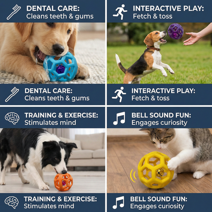 Dog Bell Ball Toy – Resistant Dental Care and Training