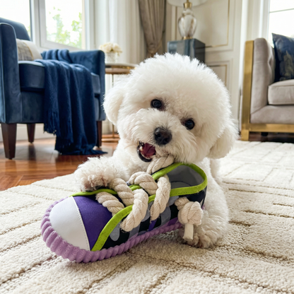 Squeaking Slipper with Durable Cotton Rope – Dental Care and Play for Dogs