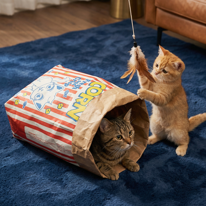 Cat Sleep & Play Cardboard Popcorn Bag