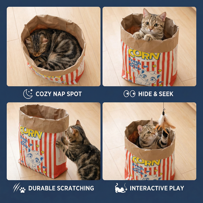 Cat Sleep & Play Cardboard Popcorn Bag