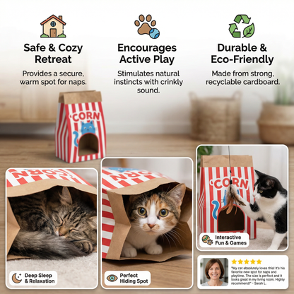 Cat Sleep & Play Cardboard Popcorn Bag