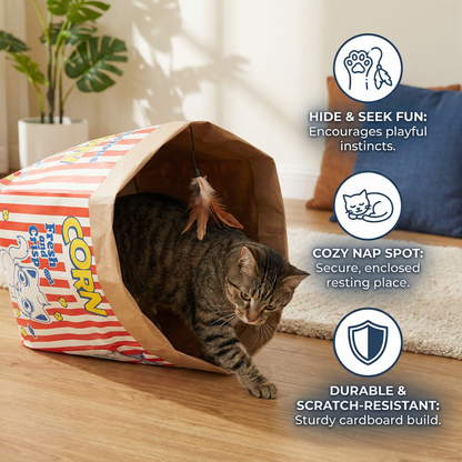 Cat Sleep & Play Cardboard Popcorn Bag